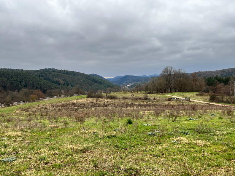 24-03-01 11-00-10 8856